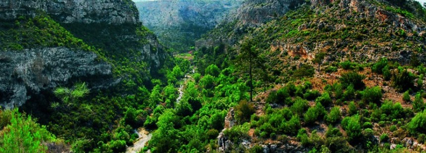 ÜÇ MİLLİ PARK, ÜÇ FLORA: TERMESSOS - OLYMPOS - KÖPRÜLÜ KANYON