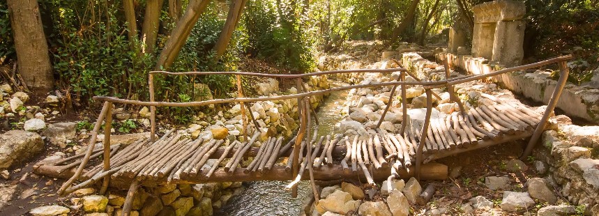 ÜÇ MİLLİ PARK, ÜÇ FLORA: TERMESSOS - OLYMPOS - KÖPRÜLÜ KANYON