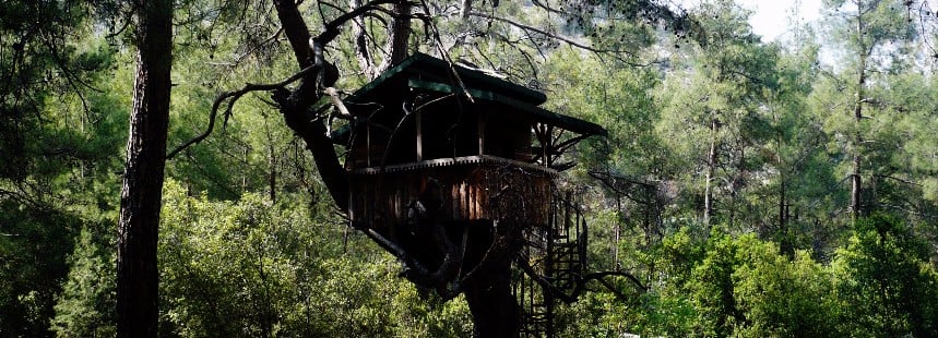 ÜÇ MİLLİ PARK, ÜÇ FLORA: TERMESSOS - OLYMPOS - KÖPRÜLÜ KANYON