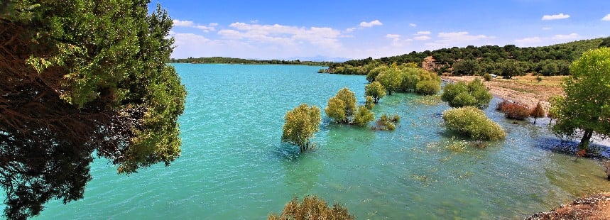 ISPARTA’DA LAVANTA VE KİRAZ MEVSİMİ