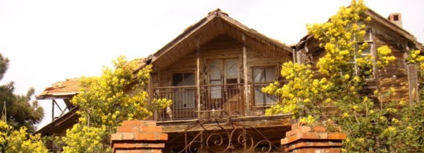 MİMOZALARIN İZİNDE BÜYÜKADA FLORASI 