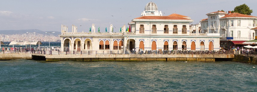 MİMOZALARIN İZİNDE BÜYÜKADA FLORASI 