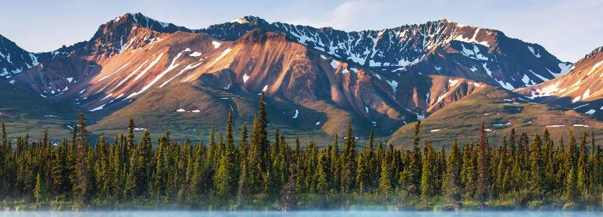 OECONOMICA: ALASKA’DA DOĞA VE VAHŞİ YAŞAM