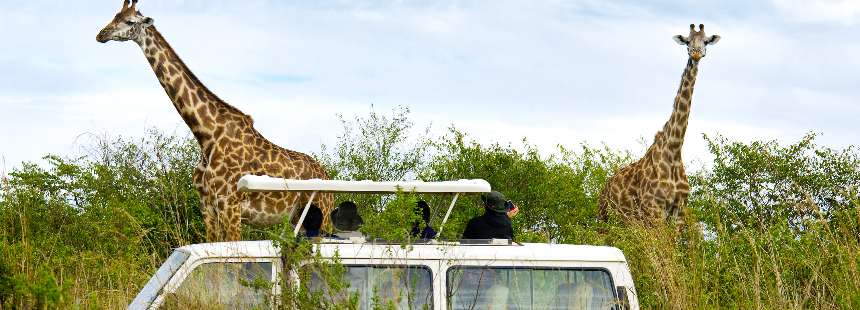 MÜNFERİT  KENYA’DA MASAİ MARA SAFARİSİ