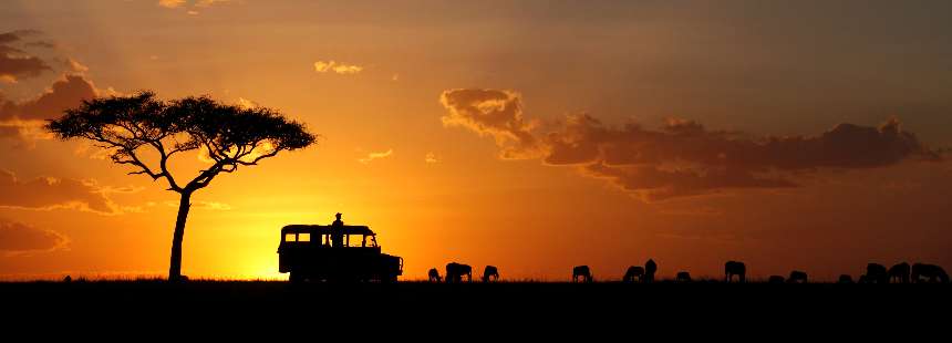 MÜNFERİT  KENYA’DA MASAİ MARA SAFARİSİ