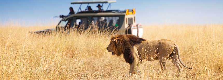 KİŞİYE ÖZEL GÜNEY AFRİKA’DA SAFARİ VE CAPE TOWN GEZİSİ 