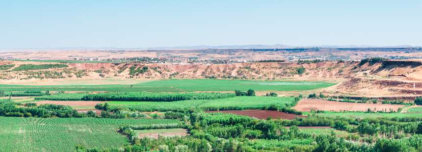 MEZOPOTAMYA VE ANADOLU MEDENİYETLERİNİN BEŞİĞİ DİYARBAKIR TURU