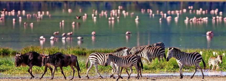 KİŞİYE ÖZEL TANZANYA’DA SAFARİ – ZANZİBAR GEZİSİ