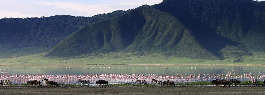 KİŞİYE ÖZEL TANZANYA’DA SAFARİ – ZANZİBAR GEZİSİ