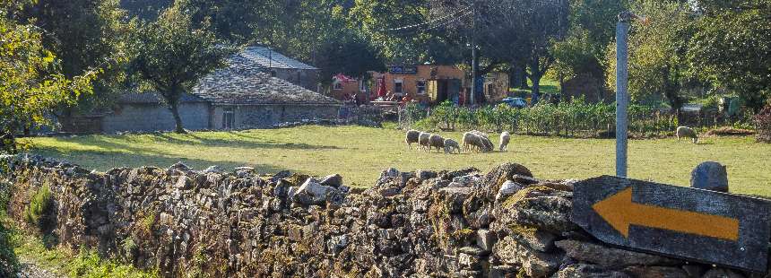 EXODUS: CAMINO DE SANTIAGO YÜRÜYÜŞÜ