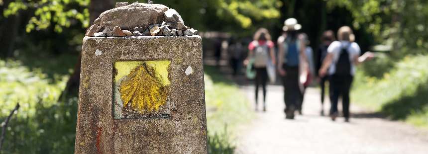 EXODUS: CAMINO DE SANTIAGO YÜRÜYÜŞÜ