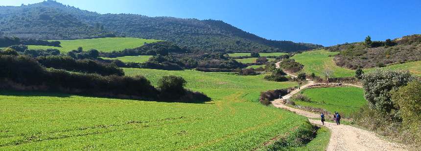 EXODUS: CAMINO DE SANTIAGO YÜRÜYÜŞÜ