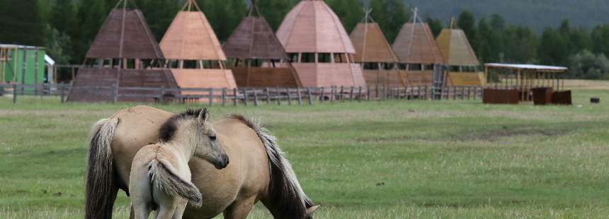 HAKASYA - TUVA - YAKUTİSTAN