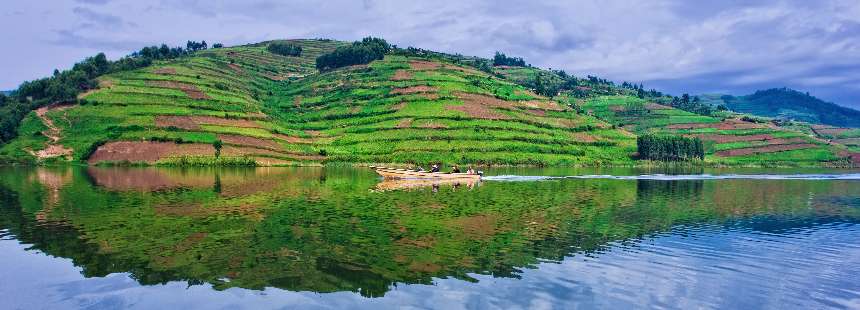 KENYA - UGANDA - RUANDA MASAI MARA GORİL SAFARİSİ