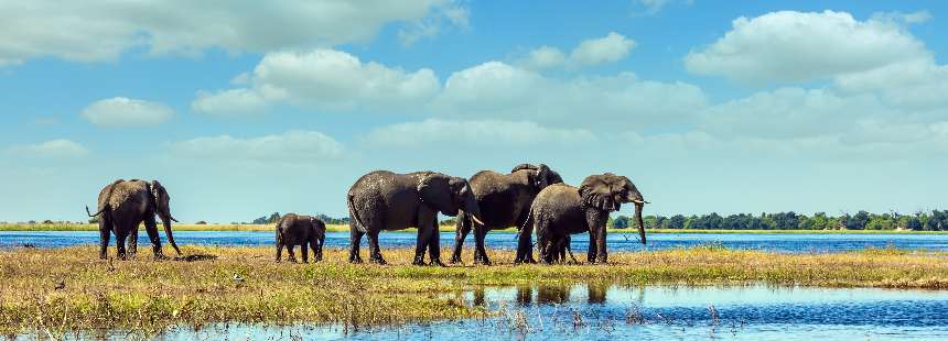 MÜNFERİT GÜNEY AFRİKA MOTOSİKLET GEZİSİ - GARDEN ROUTE – KAROO