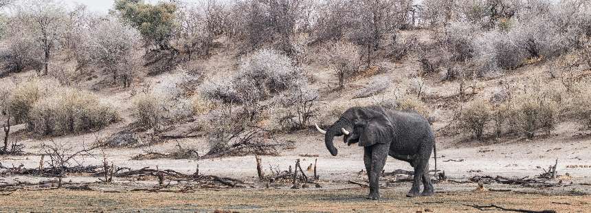 MÜNFERİT GÜNEY AFRİKA MOTOSİKLET GEZİSİ - GARDEN ROUTE – KAROO