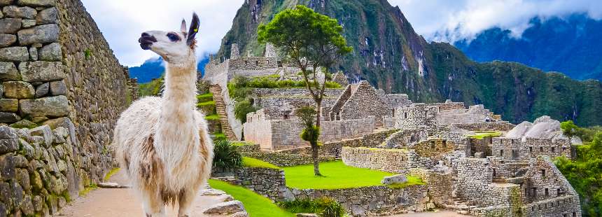EXODUS: MACHU PICCHU 