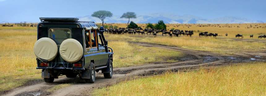 MÜNFERİT KENYA'DA SAFARİ