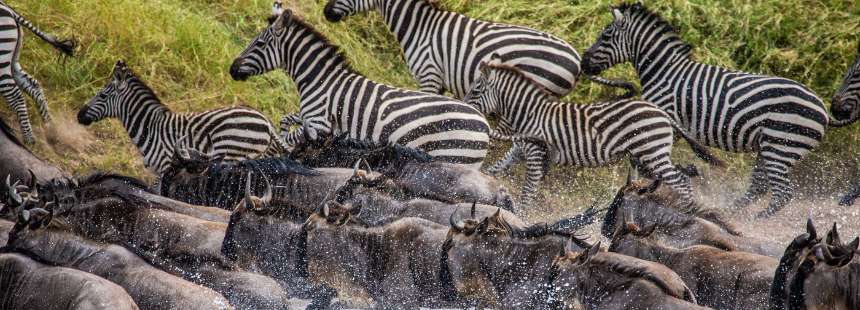 MÜNFERİT KENYA'DA SAFARİ