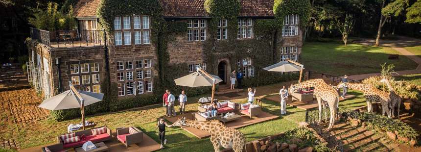 KENYA'DA SAFARİ - GİRAFFE MANOR HOTEL