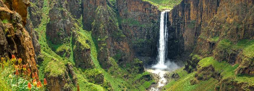 JAKARANDA ZAMANI GÜNEY AFRİKA & LESOTHO