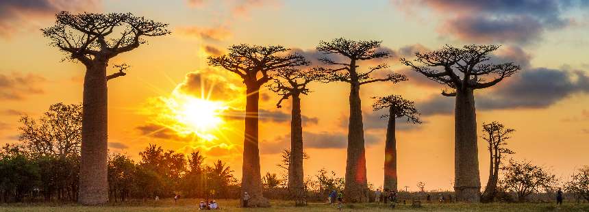 TURKUAZ RENKLİ RÜYA ADA  MADAGASKAR