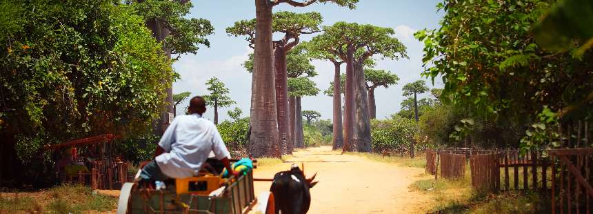 TURKUAZ RENKLİ RÜYA ADA  MADAGASKAR