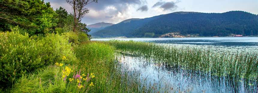 BOLU - ABANT 