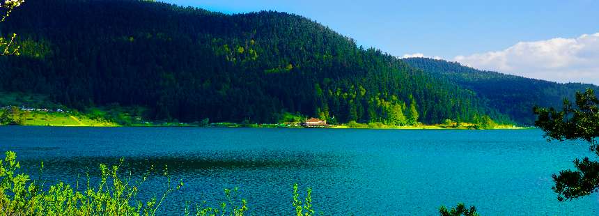 BOLU - ABANT 