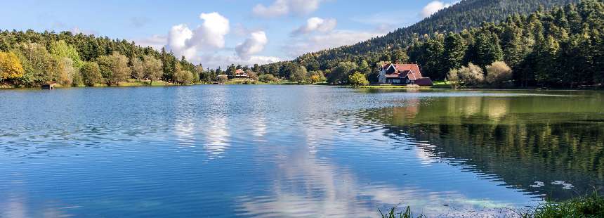 BOLU - ABANT 