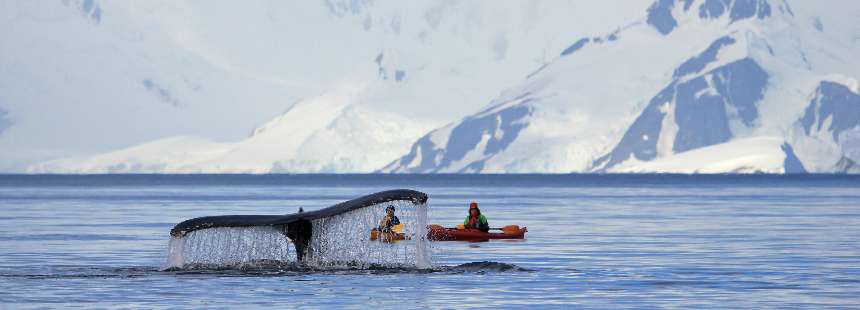 WORLD EXPLORER GEMİSİ İLE TOTAL SOLAR ECLIPSE ANTARCTICA - SOUTH GEORGIA