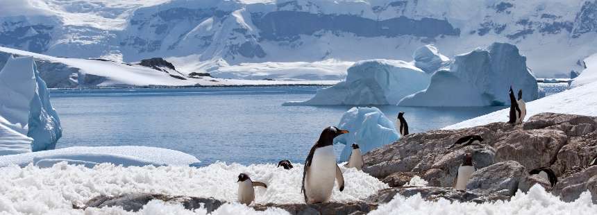 WORLD EXPLORER GEMİSİ İLE TOTAL SOLAR ECLIPSE ANTARCTICA - SOUTH GEORGIA