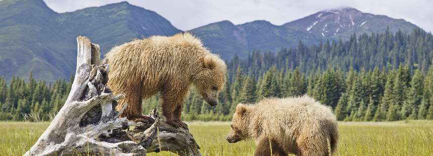 ALASKA’NIN ULUSAL PARKLARI