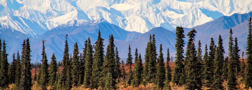 ALASKA’NIN ULUSAL PARKLARI