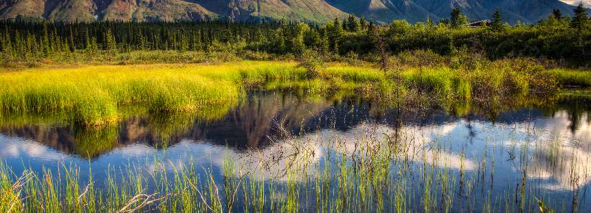 ALASKA’NIN ULUSAL PARKLARI