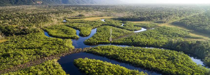 BREZİLYA PANTANAL VE AMAZON ORMANLARINDA SAFARİ