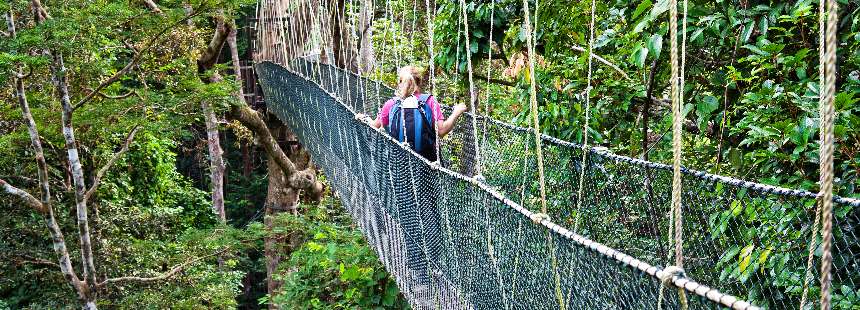 ASYA’NIN GİZLİ BAHÇESİ, ORANGUTANLARIN ÜLKESİ BORNEO