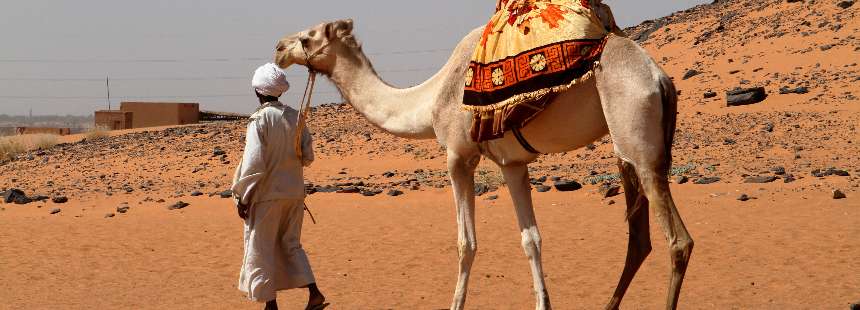 Online - Turgay Tuna ile Siyah Firavunlar, Nübye Piramitleri, Timsahlar: SUDAN