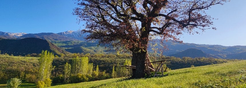 DOĞU’NUN DİĞER YÜZÜ BİNGÖL - MUŞ - BİTLİS