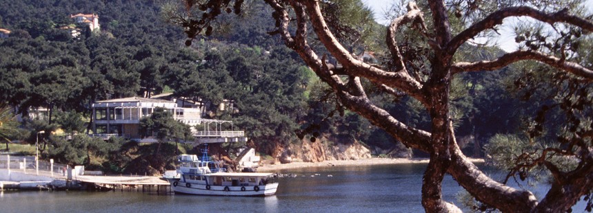 TÜM YÖNLERİYLE BÜYÜKADA