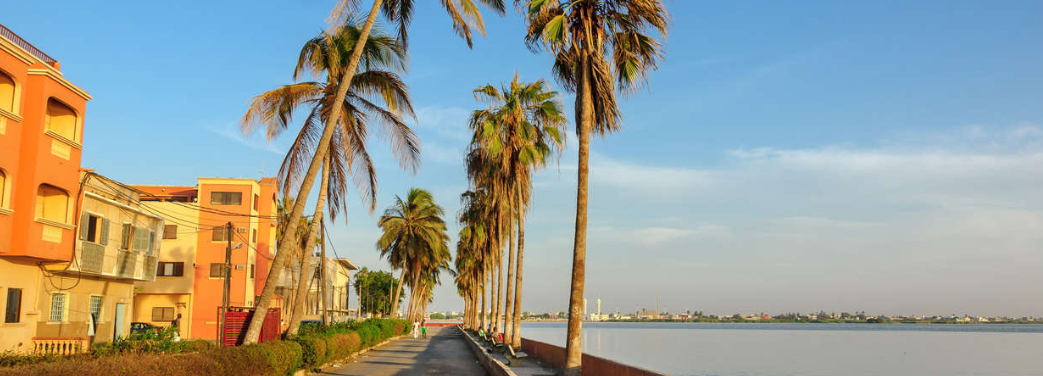 Explore Ortaklığı ile Batı Afrika; Senegal ve Gambiya 