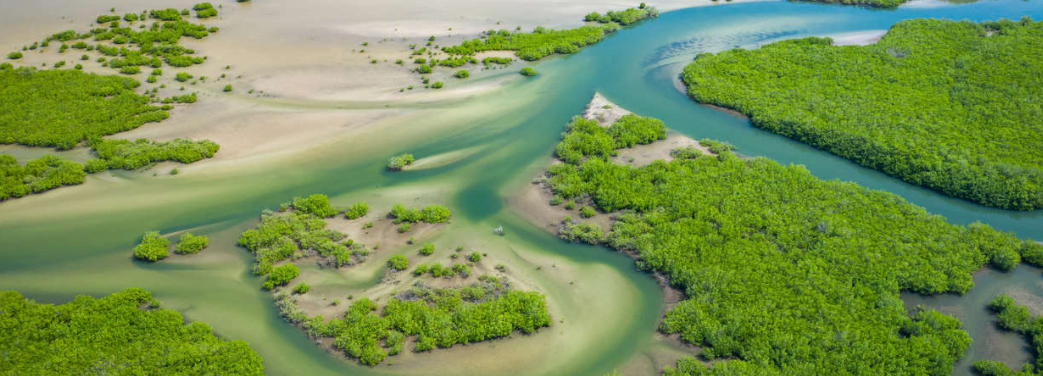 Explore Ortaklığı ile Batı Afrika; Senegal ve Gambiya 