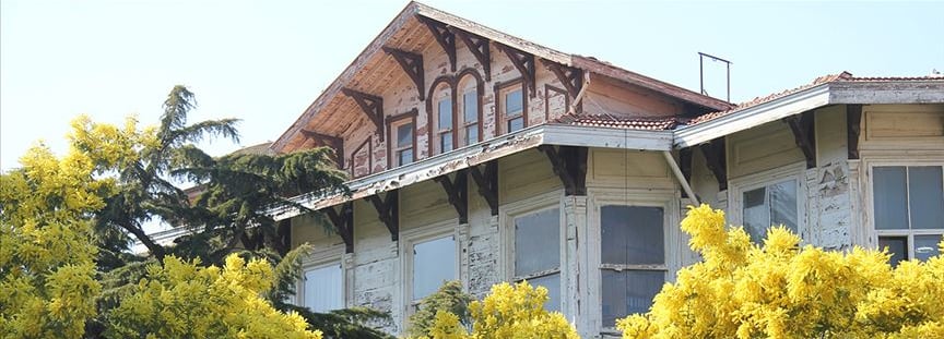 BAHARIN GELİŞİYLE BÜYÜKADA