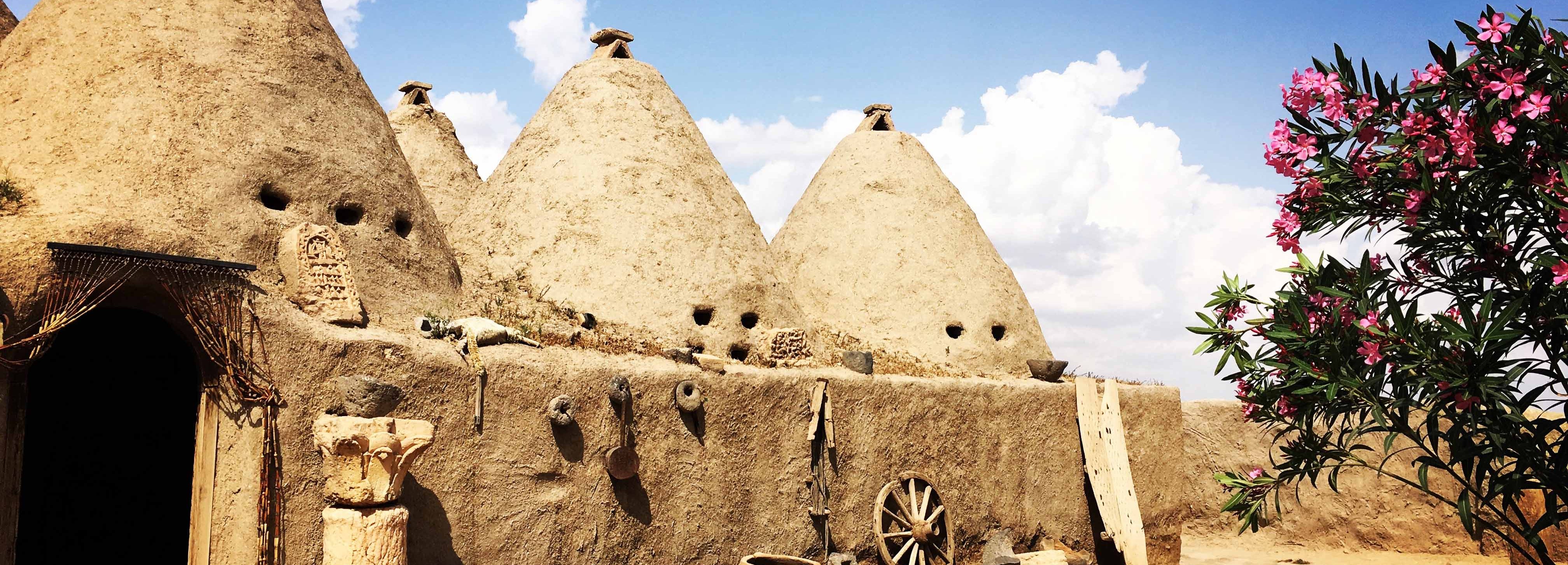 OECONOMICA NEMRUT - GÖBEKLİTEPE - GAZİANTEP