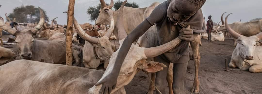 GÜNEY SUDAN GEZİSİ