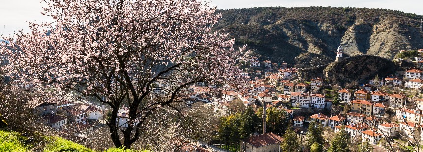 “Sakin Şehir”lere yolculuk: TARAKLI - GÖYNÜK