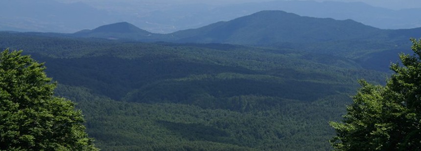 İZMİT - KELTEPE - ALTINPINAR YAYLASI YÜRÜYÜŞÜ