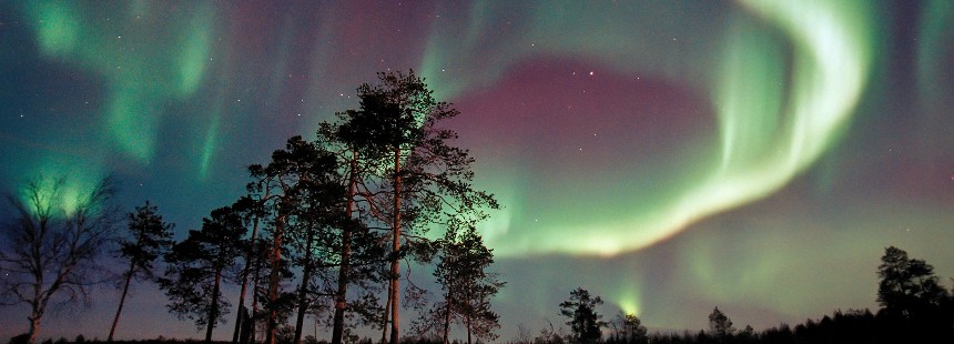 OECONOMICA YILBAŞINDA LAPLAND