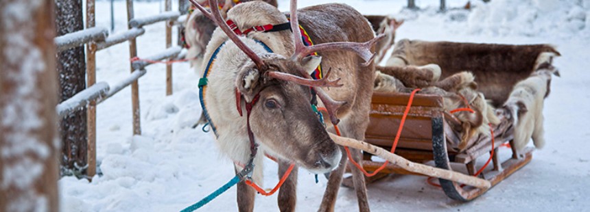 OECONOMICA YILBAŞINDA LAPLAND