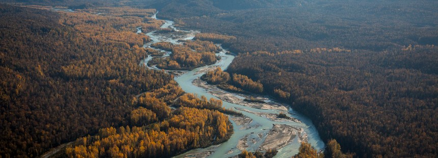 VAHŞİ ALASKA